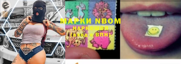 шишки Алзамай