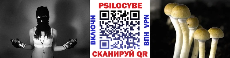 Галлюциногенные грибы GOLDEN TEACHER цены наркотик Дзержинск